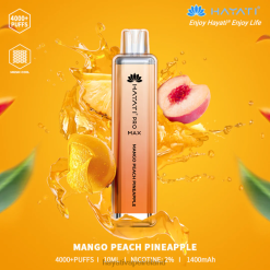 Hayati Ireland | Hayati Pro Max Disposable Mango Peach Pineapple FD082111