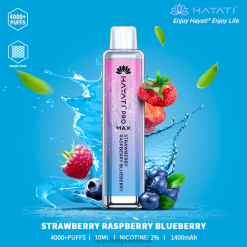 Hayati Ireland | Hayati Pro Max Disposable Strawberry Raspberry Blueberry FD082141