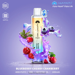 Hayati Price Ireland | Hayati Pro Max Disposable Blueberry Cherry Cranberry FD08297