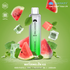 Hayati Price Ireland | Hayati Pro Max Disposable Watermelon Ice FD082127