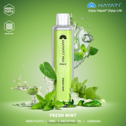 Hayati Vape Flavours | Hayati Pro Max Disposable Fresh Mint FD082104